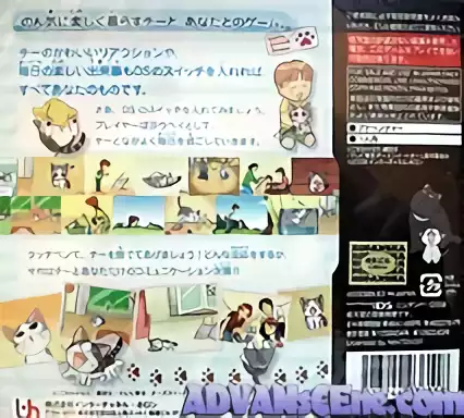 Image n° 2 - boxback : Chi's Sweet Home - Chi ga Ouchi ni Yattekita!